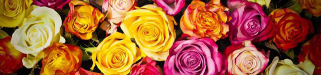 Frases de flores